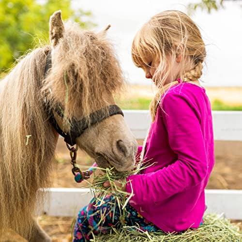 Blue Mountain Hay | Fresh Alfalfa Hay (15 Ounce) | High Leaf Retention | Nutritious High-Altitude Hay Pet Food for Rabbits, Guinea Pigs, Chinchillas, Hamsters, and Other Small Pets