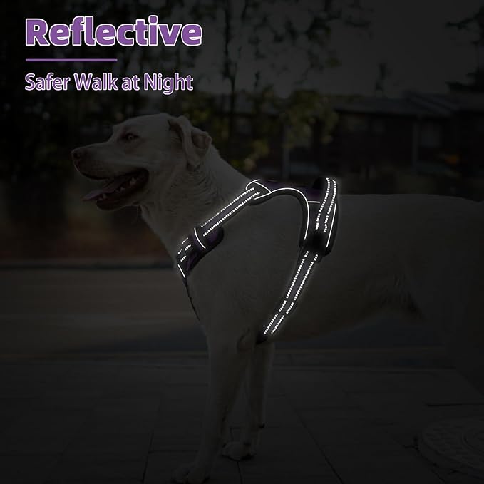 PUPTECK No Pull Dog Harness Small Sized, Adjustable Reflective Dog Harness with Handle Easy Control, Comfortable Soft Padded Pet Vest Harness for Small Dogs, Solid Purple S
