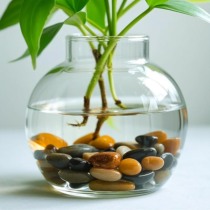 5 Lbs River Rocks for Plants,0.8-1.5 Inch Decorative Ornamental Pebbels, High Polished Stones for Garden Landscaping, Smooth Gravel Filler for Outdoor Plants, Succulents, Fish Tank and Vases, Yellow