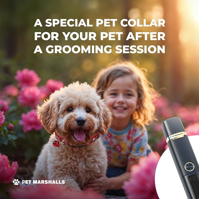 3-in-1 Cat & Dog Nail Grinder with Clipper & File, Quiet LED Trimmer, 3-Speed Pet Grooming Tool, Rechargeable 2000mAh Battery