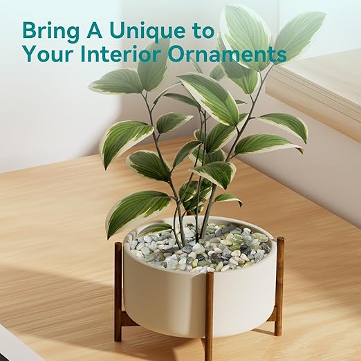 2.5 lbs Jade Pebbles for Indoor Plants, 3/8" Plant Rocks for Pots Indoor, Decorative Small Stones for Plants, Bamboo,Vase, Succulent, Highly Polished Small River Rocks