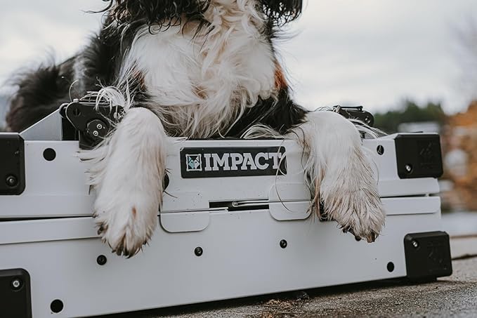 Impact Collapsible Dog Crate - Foldable Hard Crate for Large Dogs - Heavy Duty Travel Kennel with Powder-Coated Aluminum - Quick Setup for Indoor & Outdoor (Black, 40" (40.5" L x 23" W x 29" H))
