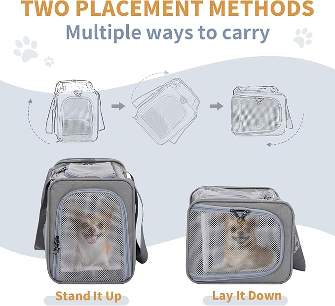 Petsfit Airline Approved Pet Carrier for Small Dogs & Cats, 19x9x12 TSA Approved Carrier, with Removable Dual-Sided Padding (2-Way Placement) - Fits Under Most Airplane Seats, Escape Proof (Gray)