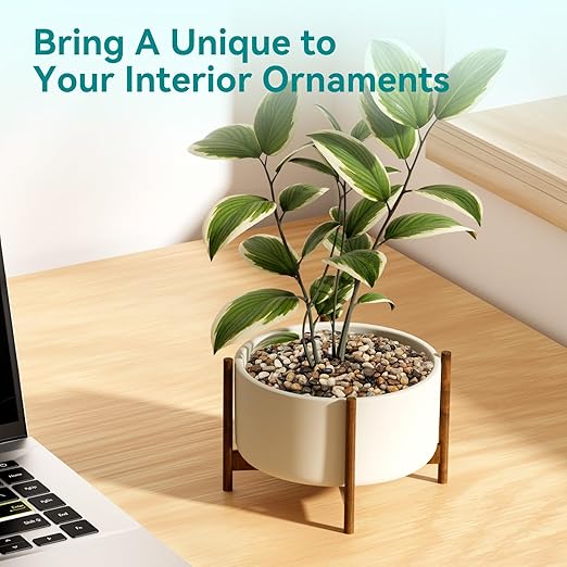 5 lbs Pebbles for Indoor Plants, Vase, Succulent, 3/8" Gravel for Plants, Pots Indoor, Bamboo Rocks for Bamboo Plants, Decorative Small River Rock, Highly Polished