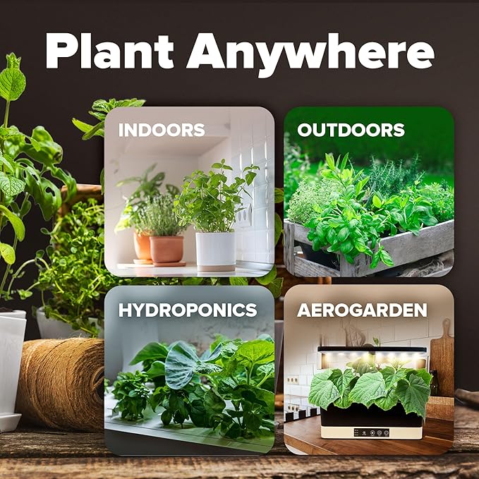 HOME GROWN π¨π¦π π£π₯ππ ππ¨π 15 Heirloom Vegetable Seeds 7,000+ π‘π’π‘-ππ π’ Seeds for Planting, Survival Garden Pack for Preppers, Emergency Bugout Gear, Indoor Outdoor Vegetable Gardening Kit