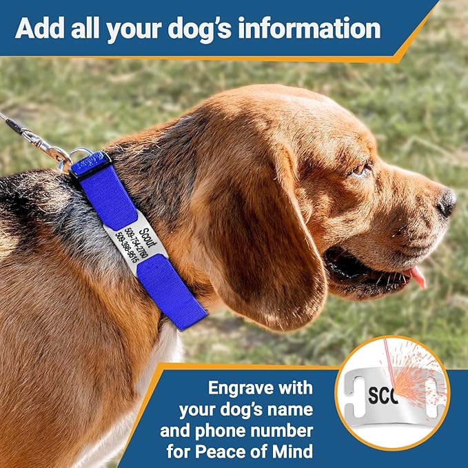 GoTags Personalized Dog Collar with Nameplate, Adjustable Dog Collar with Custom Engraved Slide On Pet ID Tag in Stainless Steel, Silent, No Noise Dog Tag for Large Medium and Small (Red, Large)