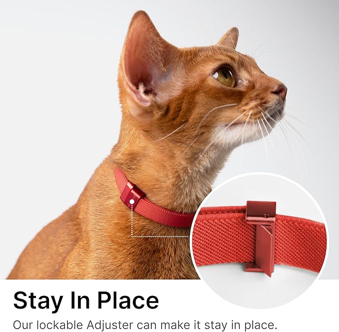 Safety Cat Collar Pro - U.S. IDA Gold Awarding Design, Elastic Quick Release Cat Collar with Buckle Non Breakaway - Lightweight for Kitten All Small Large Cats (Linen, S 5.9-11.8")