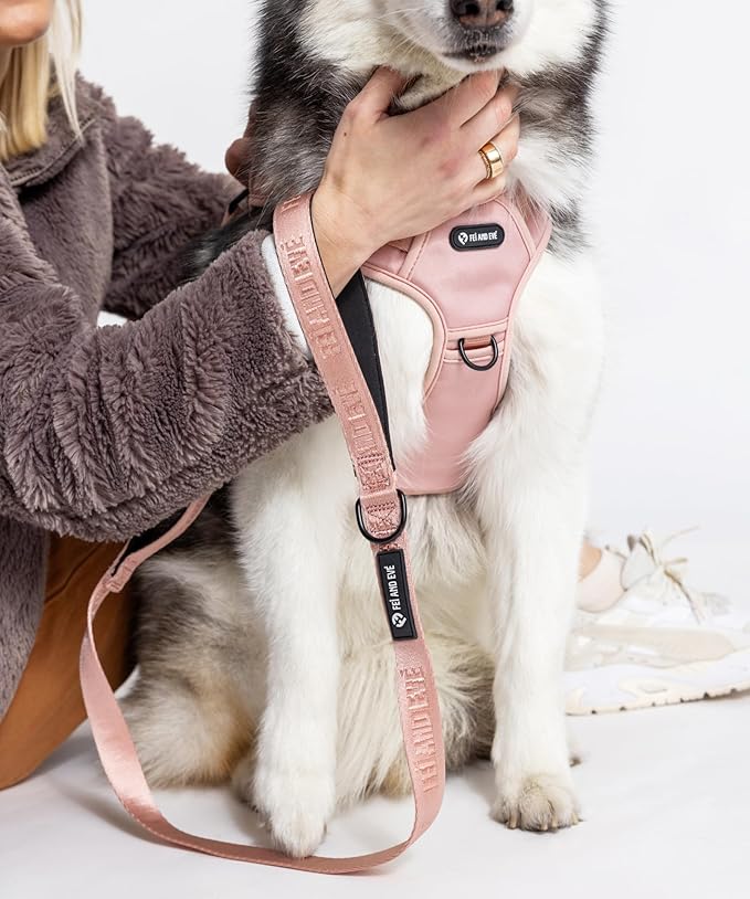 2025 New Edition, Fei & Eve MagEase Dog Harness - 3-Second Magnetic Buckles | 3-Point No-Pull Control | Heavy-Duty 900D Nylon | Dual Safety Handles | Breathable Mesh | Adjustable Fit | Large, Pink