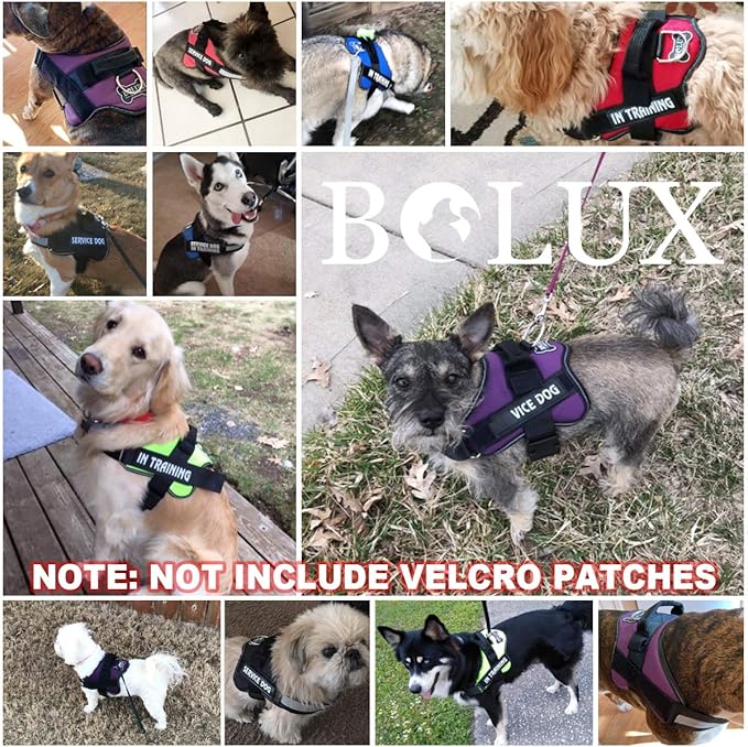 Bolux Dog Harness, No-Pull Reflective Dog Vest, Breathable Adjustable Pet Harness with Handle for Outdoor Walking - No More Pulling, Tugging or Choking (Turquoise, S)