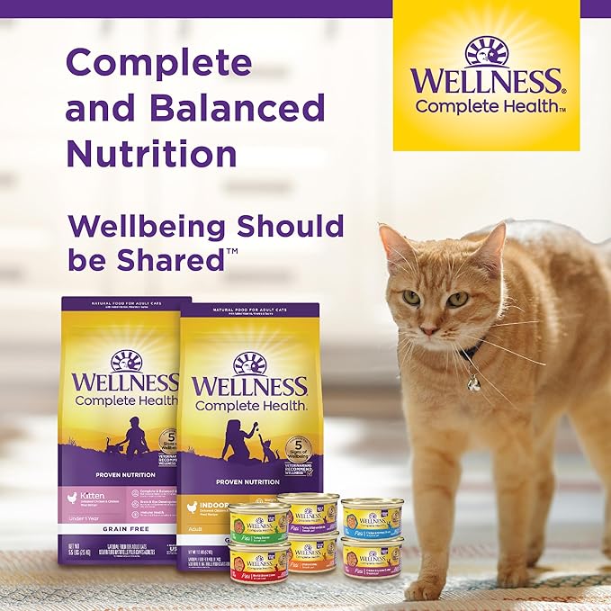 Wellness Complete Health Gravy Adult Wet Cat Food, Natural, Protein-Rich, Grain Free, 3 Ounce, 12 Pack, (Chicken Dinner)