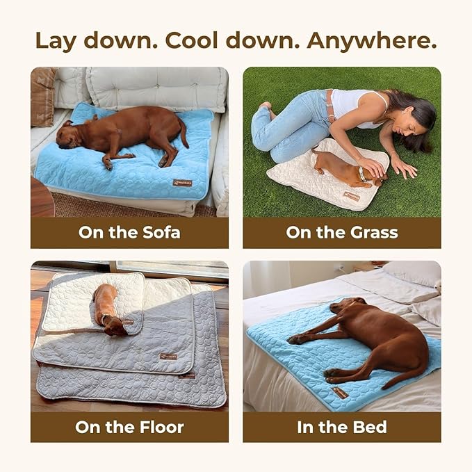 Dog Cooling Mat- Ice Silk Summer Comfort, Self Cooling, Non-Slip Dog Pad, Durable & Washable, Mat for Large Dogs 65x95 cm, Support Shelter Dogs with Every Purchase (Blue)