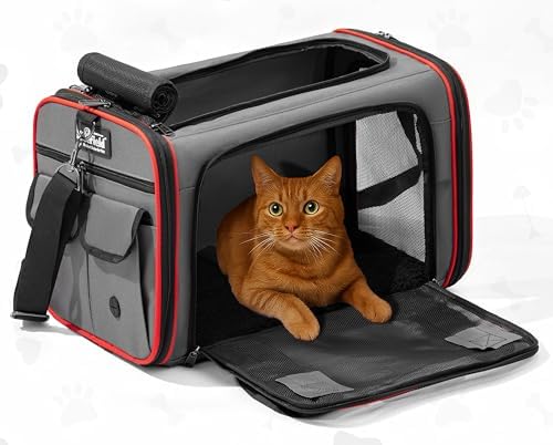 Carriers & Strollers