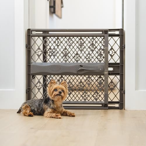 Gates & Gate Extensions