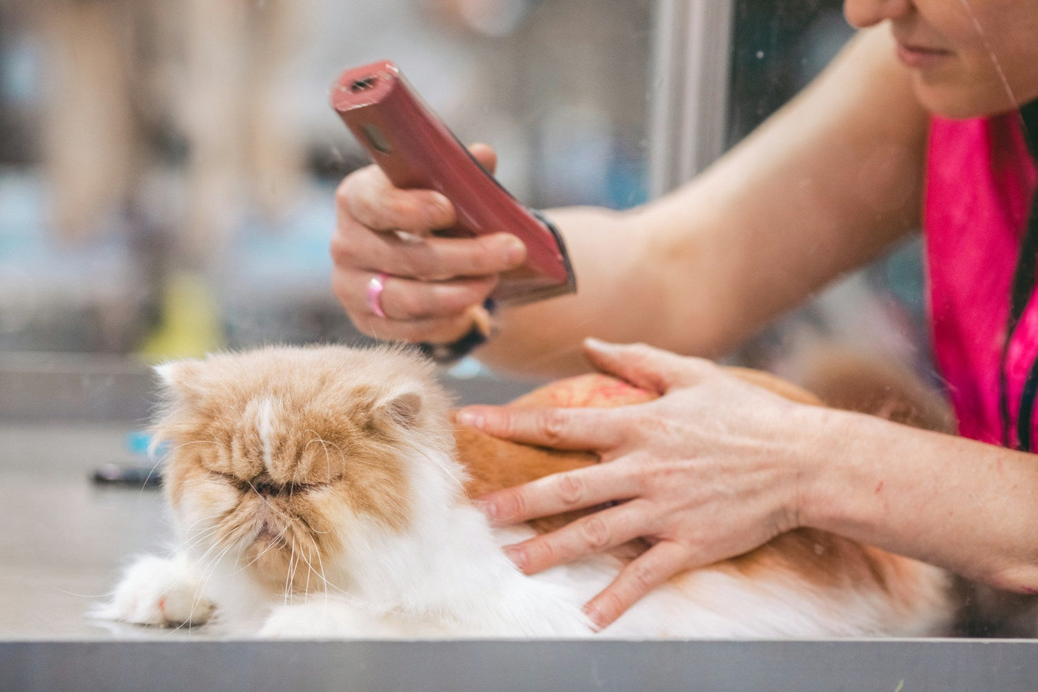 Grooming & Care