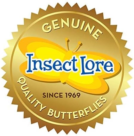 Insect Lore Butterfly Garden Kit – 10 Live Caterpillars, Habitat, STEM Journal, 2 Chrys-a-lid Holding Logs & Feeder – Grow & Release Painted Lady Butterflies – Educational Science Toy
