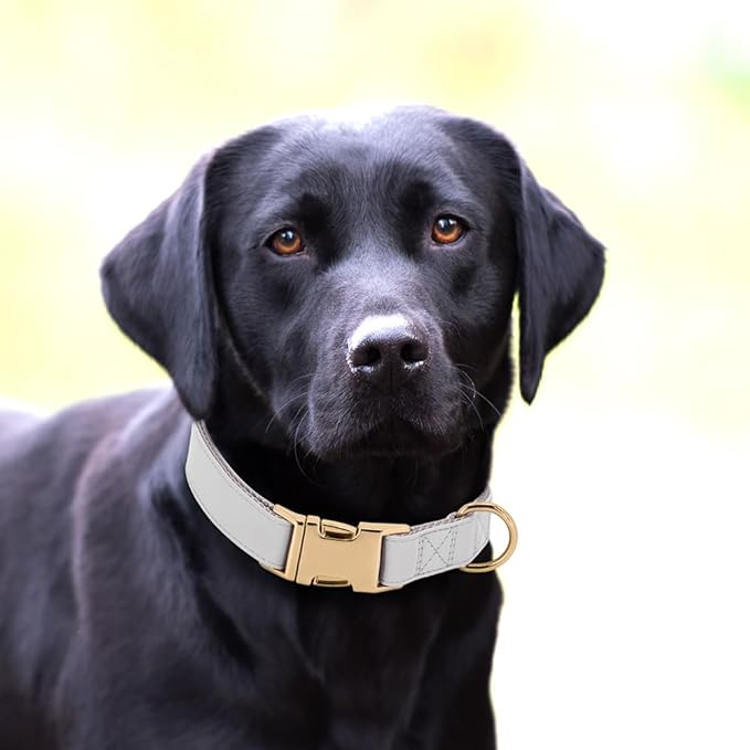PET ARTIST Soft PU Leather Dog Collar for Medium Dogs, Bright & Classic Nylon Padded Durable Dog Collar Leather with Quick Release Metal Buckle Adjustable for Male Dogs, Neck Fit 13-19"