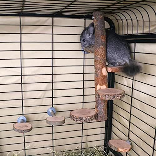 YKD Chinchilla Large Hanging Wooden Rotating Platform - Small Animals Natural Fruit Wood Standing Platform - Squirrel Suger Glider Platform - Bird Perch Platform