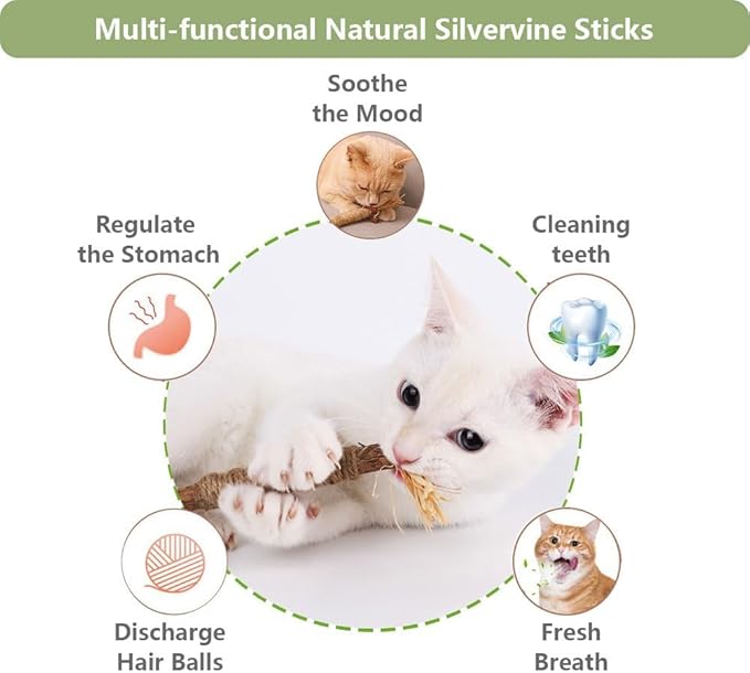 3 PCS Silvervine Sticks for Cats - Natural Cat Chew Toys for Teeth Cleaning, Kitten Teething & Aggressive Chewers
