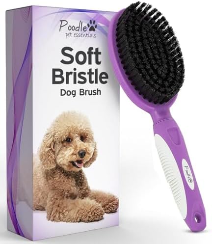 Soft Bristle Dog Brush For Short Haired Cats Or Dogs by Poodlie