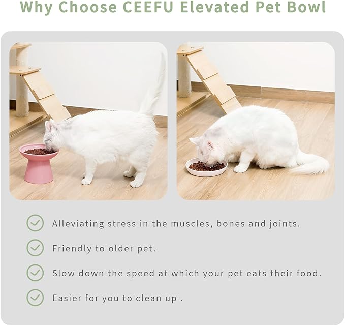 Extra Wide Elevated Ceramic Cat Bowl, 6.2" Shallow Dish for Whisker Fatigue Relief, 5" Height for Easy Feeding, Durable Raised Cat Food Bowls, Pack of 2, Pink