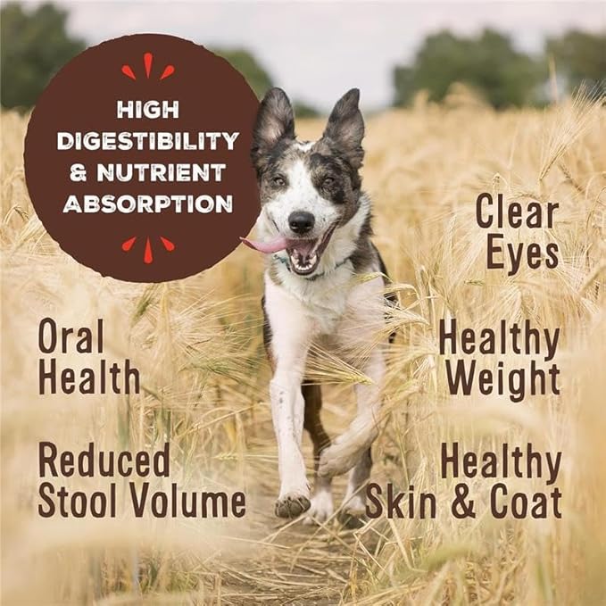 Primal Freeze Dried Raw Dog Food Nuggets, Lamb, Complete & Balanced Meal, Also Use as Topper or Treat, Premium, Healthy, Grain Free, High Protein Raw Dog Food, 14 oz (Pack of 4)