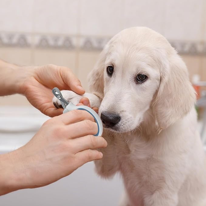 20 Pcs Cat Nail Clipper Bulk Kitten Claw Trimmer Pet Nail Cutter Claw Care for Cats, Kittens, Bunny, Puppy, Rabbit, Gatos, and More