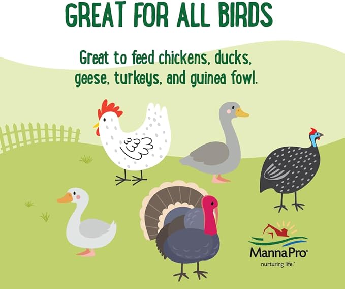 Manna Pro Farmhouse Favorites Oat & Mealworm Mix Poultry Treat – Natural Protein Source – Encouraging Poultry Treat – Mix of Oats, Peanuts, Raisins, Mealworms, Sunflower Kernels – 2lbs