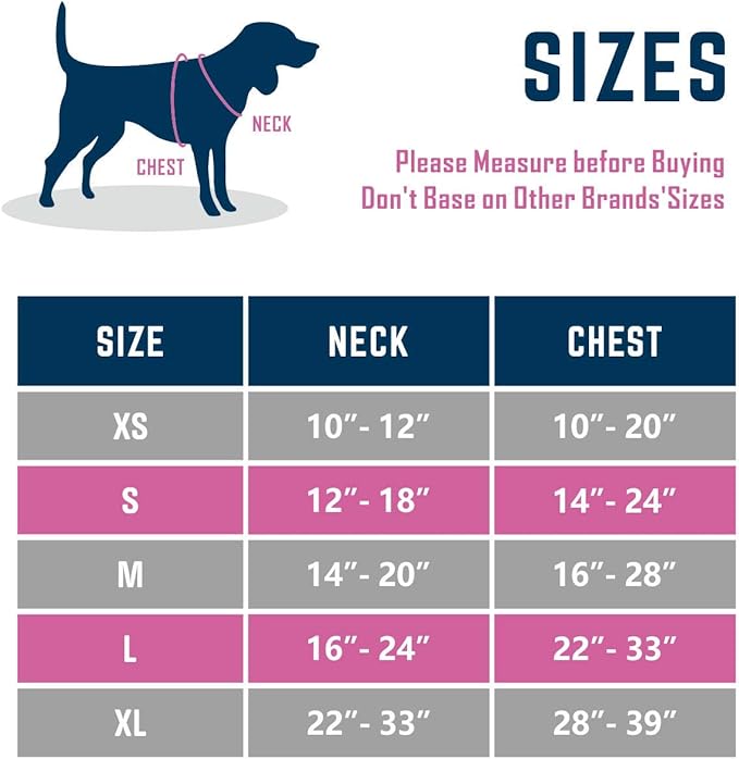 PHOEPET 2019 Upgraded No Pull Dog Harness,3M Reflective Adjustable Vest, with a Training Handle + 2 Metal Leash Hooks+ 3 Snap Buckles +4 Slide Buckles(XS, Red)