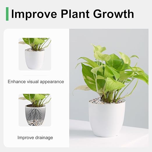 2.5 lbs Small Rocks for Plants, 1/5 Inch Pebbles for Indoor Plants, Natural Decorative Pea Gravel for Aquarium, Fish Tank, Terrarium, Succulents, Bamboo Plants, Vases, Cactus, Crafts