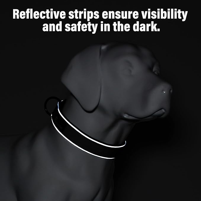 Plutus Pet Tactical Dog Collar, Reflective, Adjustable Heavy Duty Dog Collar, Soft Padded and Comfortable, for Small Medium and Large Dogs (Red, M)