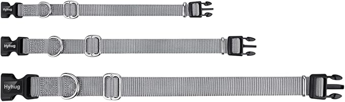 Hyhug Pets Solid Color Classic Regular Heavy Duty Basic Collar for Small Dogs, Unique Design Adjustment Triglide Slide (Buckle) Can Attached Name Tag Accessories. (Small, Sleet Gray)