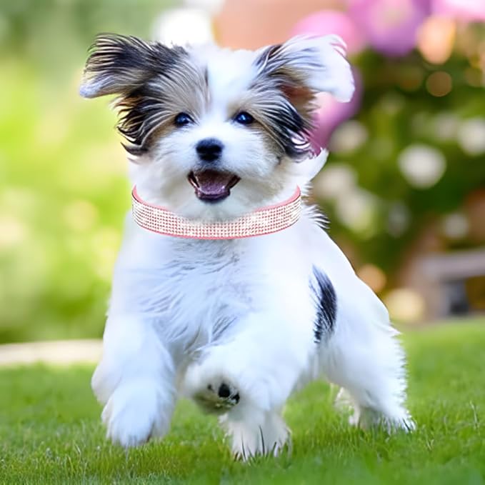 Puppy Dog Collar with Rhinestone Crystal Diamond Colorful Bling Girl Cat Collars Rose XXL