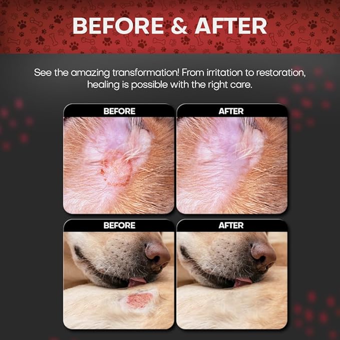 2% Chlorhexidine Wipes for Dogs 3X Larger | Yeast Infection Ringworm Fungus Hot Spot Itch Relief | Medicated Antibacterial Antifungal Extra Gentle Soothing Topical Wipes for Dog Cat | 50 Wipes