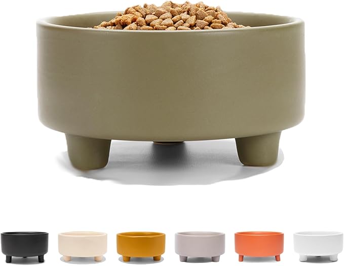 Waggo Uplift Ceramic Dog Bowl for Small Medium and Large Breeds - Heavyweight and Durable Pet Food and Water Dish Crock, Dishwasher Safe, Modern, Elevated Feeder (Olive, Small)