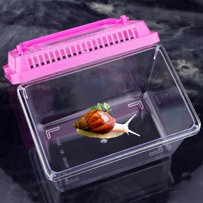 20 Pack Small Plastic Reptile Carrier Tarantula Enclosure Snake Breeding Box Hatching Container for Spider Fish Turtle Hermit Crab Bearded Dragon Lizard (5.1 x 3.5 x 3.5 Inch)