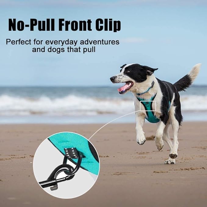 PoyPet No Pull Dog Harness, Reflective Comfortable Vest Harness with Front & Back 2 Leash Attachments and Easy Control Handle Adjustable Soft Padded Pet Vest for Small to Large Dogs (Mint Blue,S)