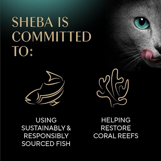 Sheba Perfect Portions Wet Cat Food Cuts in Gravy Variety Pack, Roasted Chicken, Tender Turkey, with Sustainable Salmon, and with Sustainable Tuna, 2.6 oz. Twin-Pack Trays (48 Count, 96 Servings)