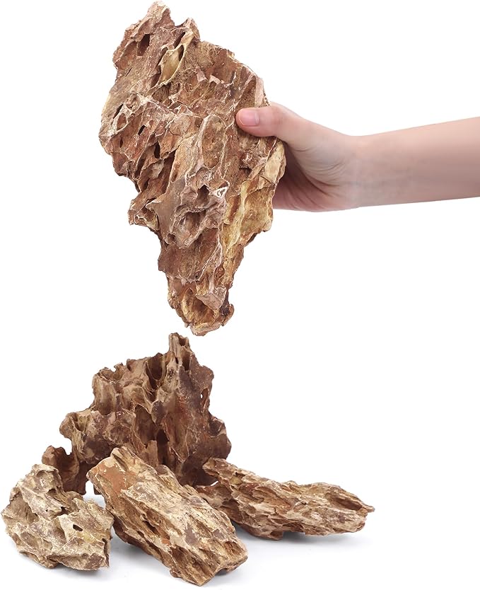 2-8 Inches Natural Dragon Stone 5 PCS Aquarium Rocks for Aquascaping, Aquarium Landscaping, Terrariums, Fish Tank Decoration, Vivariums, Paludarium, Reptile and Amphibian Enclosures