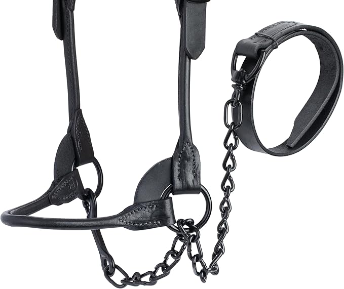 Weaver Livestock Leather Magic Show Cattle Halter, Adjustable, Modern Style Cow Calf Halter, Livestock Handling Equipment for Showing, Black