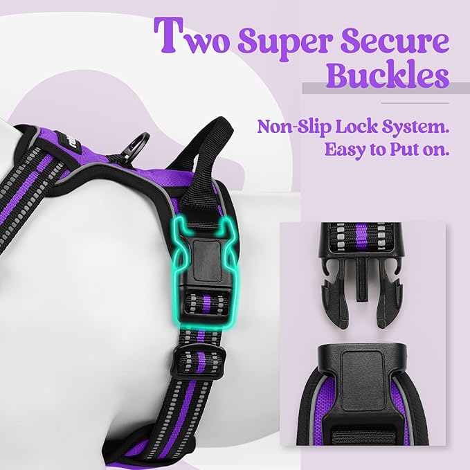 rabbitgoo Dog Harness, No-Pull Pet Harness with 2 Leash Clips, Adjustable Soft Padded Dog Vest, Reflective No-Choke Pet Oxford Vest with Easy Control Handle for Large Dogs, Purple, L