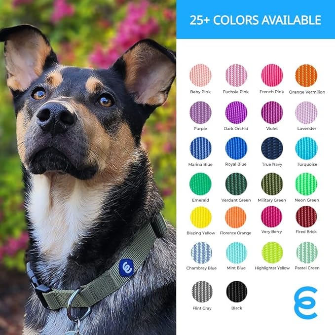Blueberry Pet Essentials Large Dog Collar in Royal Blue | Adjustable & Eco-Friendly Durable Nylon Strap | Classic Collar for Large Dogs, Boy & Girl Pets