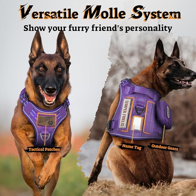 rabbitgoo Dog Harness for Large Dogs No Pull, Tactical Service Pet Vest with Molle and Control Handle, Adjustable and Reflective Military Harness for Easy Walking and Training, Purple, XL