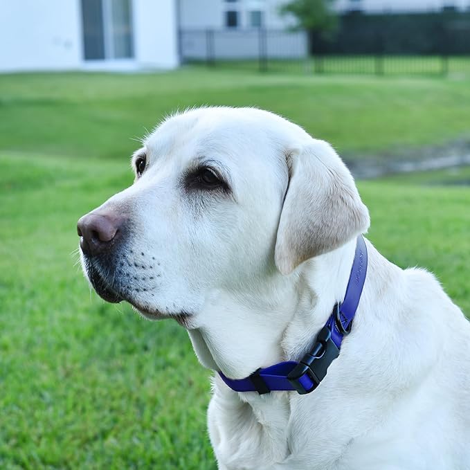Dogline Biothane Waterproof Dog Collar with Quick Release Buckle Strong Coated Nylon Webbing with Odor- Proof for Easy Care Easy to Clean Fits Small Medium Large Dogs, Royal Blue 5/8" W 9-14" L