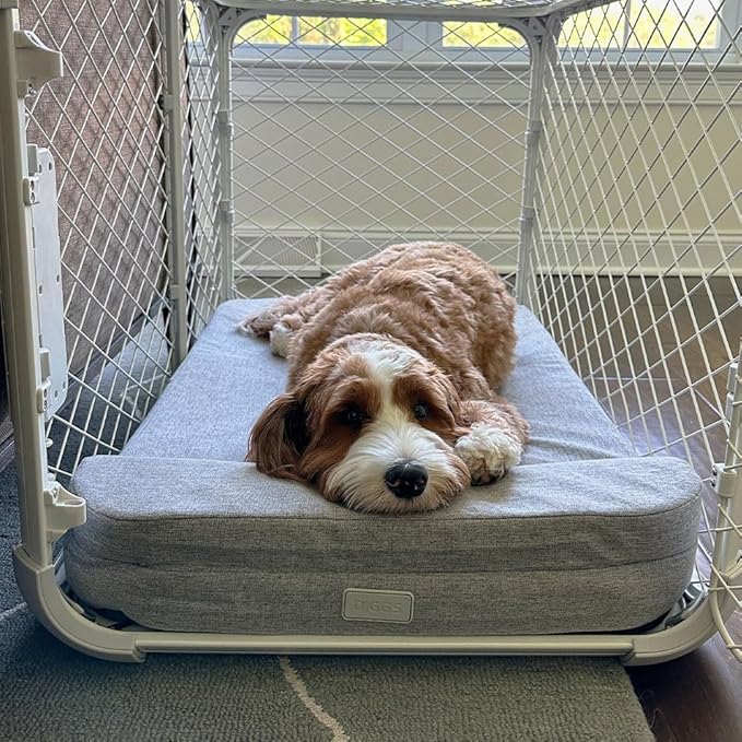 Diggs Bolstr Orthopedic Dog Bed with Headrest - Dog Crate Bed for Evolv Crate & Other Standard Pet Kennels - Durable & Comfortable - (Small)