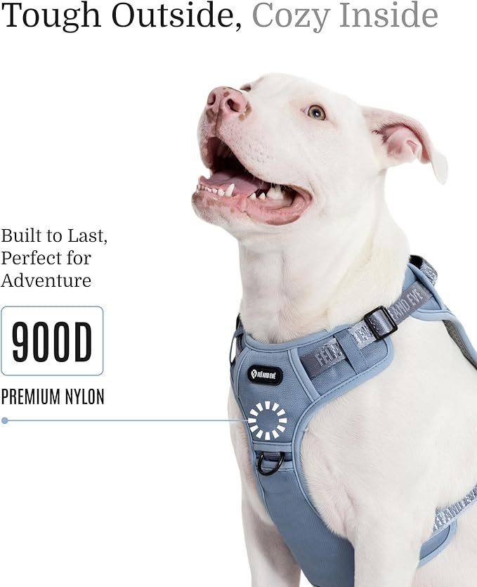 2025 New Edition, Fei & Eve MagEase Dog Harness - 3-Second Magnetic Buckles | 3-Point No-Pull Control | Heavy-Duty 900D Nylon | Dual Safety Handles | Breathable Mesh | Adjustable Fit | Medium, Blue