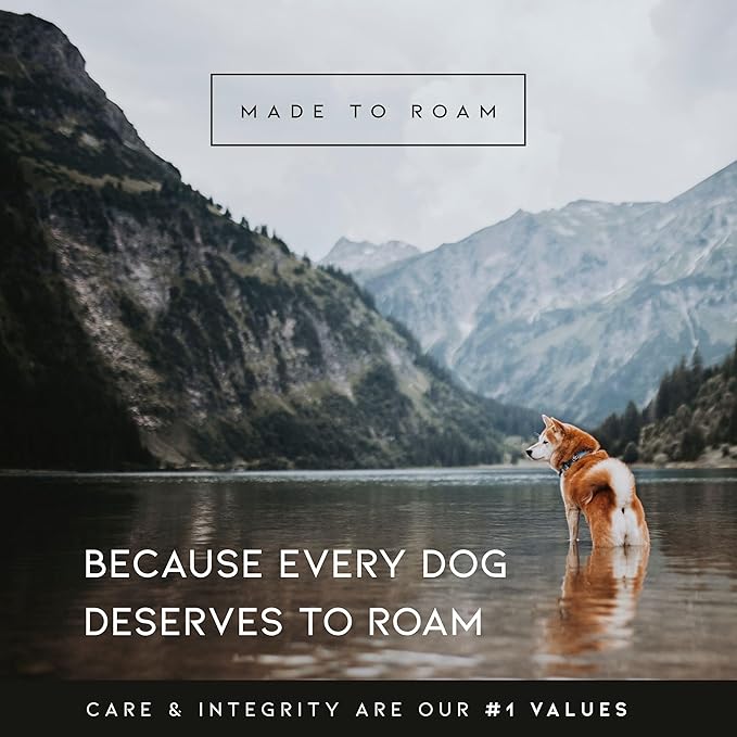 MADE TO ROAM Premium Explorer Harness - Y-Shaped Dog Harness with Adjustable Durable Nylon, Soft Padding, Metal Buckles and Leather Handle for Small, Medium, Large Dogs (Virginia Mountains, Size 3)