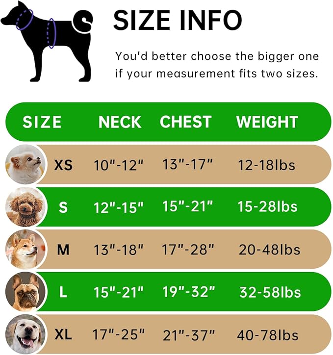 IVY&LANE No Pull Dog Harness for Small Dogs, Dog Vest Harness with Leash, Safety Belt and Storage Strap, Fully Adjustable Harness, 360° Reflective Strip, Soft Handle (Green,S)
