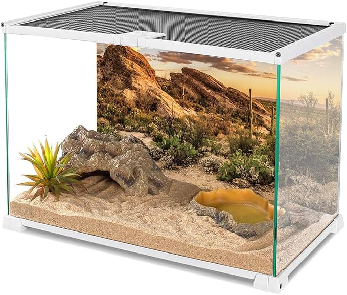 AWERT Reptile Habitat Background Blue Sky Oasis Cactus Sun and Desert Terrarium Background 24x16 inches Durable Polyester Background