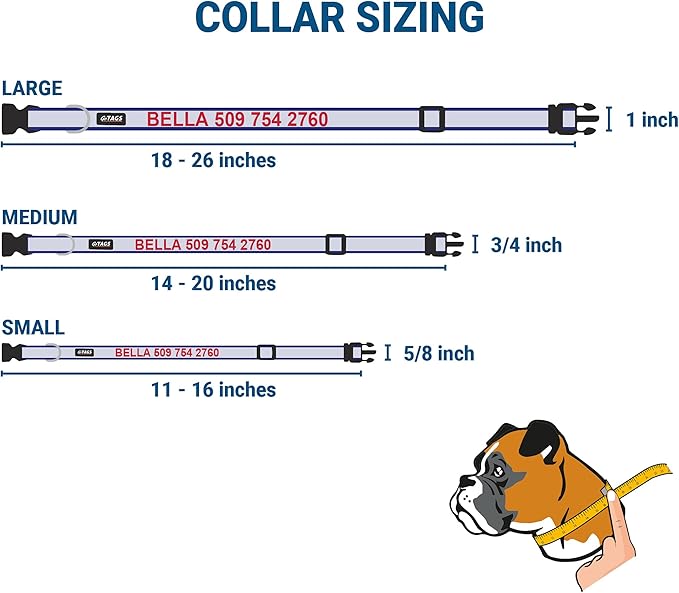 GoTags Reflective Personalized Dog Collar with Nameplate, Adjustable Dog Collar with Custom Engraved Steel Slide On Pet ID Tag, Silent, No Noise Dog Tag for Large Medium or Small (Blue, Large)