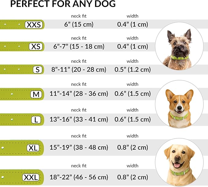 CollarDirect Rolled Leather Dog Collar, Soft Padded Round Puppy Collar, Handmade Genuine Leather Collar Dog Small Large Cat Collars 13 Colors (13-16 Inch, Lime Green Smooth)